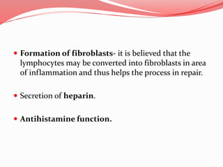  Formation of fibroblasts- it is believed that the
lymphocytes may be converted into fibroblasts in area
of inflammation and thus helps the process in repair.
 Secretion of heparin.
 Antihistamine function.
 