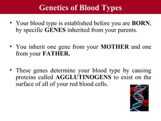 Genetics of Blood Types
• Your blood type is established before you are BORN,
by specific GENES inherited from your parents.
• You inherit one gene from your MOTHER and one
from your FATHER.
• These genes determine your blood type by causing
proteins called AGGLUTINOGENS to exist on the
surface of all of your red blood cells.
 