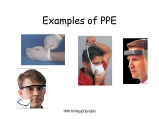 1910.1030(g)(2)(vii)(G)
Examples of PPE
 