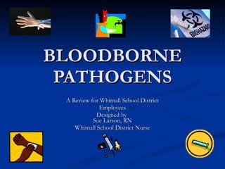 BLOODBORNE PATHOGENS A Review for Whitnall School District Employees Designed by  Sue Larson, RN Whitnall School District Nurse 