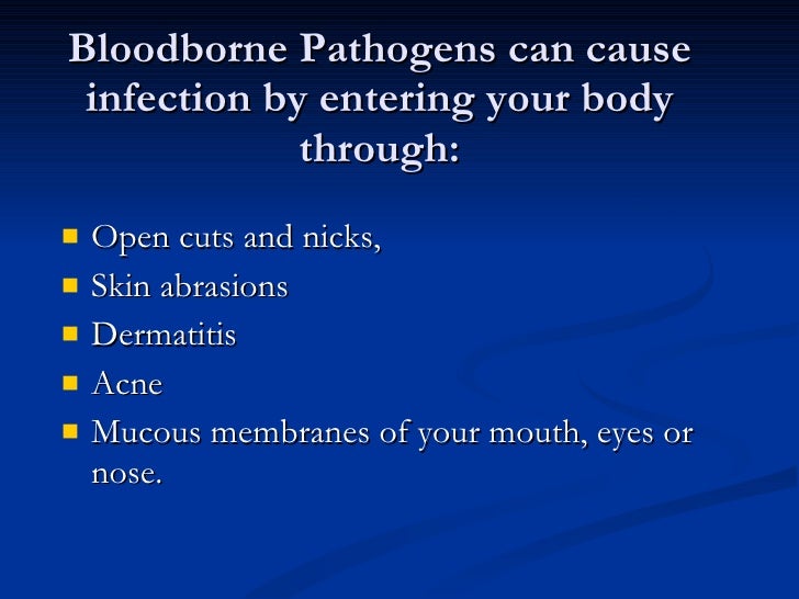 Bloodborne Pathogen Presentation Updated 09 11 08