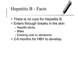 Hepatitis B - Facts There is no cure for Hepatitis B. Enters through breaks in the skin Needle sticks Bites Existing cuts or abrasions 2-6 months for HBV to develop. 