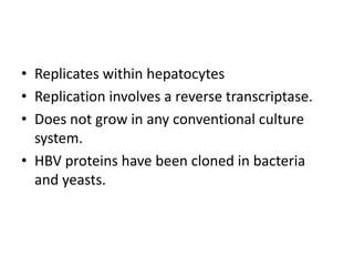 • Replicates within hepatocytes
• Replication involves a reverse transcriptase.
• Does not grow in any conventional culture
system.
• HBV proteins have been cloned in bacteria
and yeasts.

 