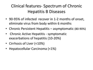 Clinical features- Spectrum of Chronic
Hepatitis B Diseases
• 90-95% of infected recover in 1-2 months of onset,
eliminate virus from body within 6 months
• Chronic Persistent Hepatitis – asymptomatic (80-90%)
• Chronic Active Hepatitis - symptomatic
exacerbations of hepatitis (10-20%)
• Cirrhosis of Liver (<10%)
• Hepatocellular Carcinoma (<1%)

 