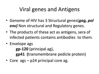 Viral genes and Antigens
• Genome of HIV has 3 Structural genes(gag, pol
env) Non structural and Regulatory genes.
• The products of these act as antigens, sera of
infected patients contains antibodies to them.
• Envelope ags
gp-120 (principal ag),
gp41 (transmembrane pedicle protein)
• Core ags – p24 principal core ag.

 