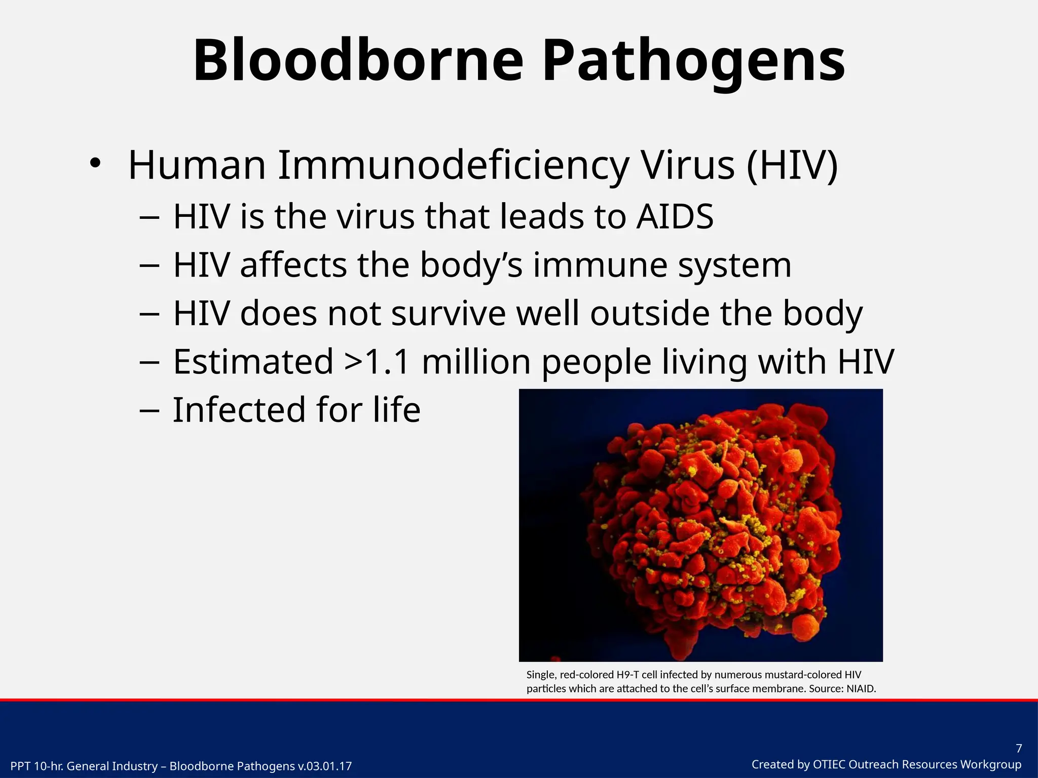 Bloodborne Pathogens training powerpoint presentation | PPTX