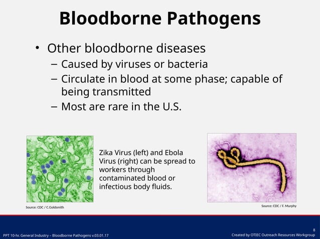 Bloodborne Pathogens training powerpoint presentation | PPTX