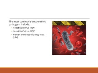 The most commonly encountered
pathogens include:
◦ Hepatitis B virus (HBV)
◦ Hepatitis C virus (HCV)
◦ Human immunodeficiency virus
(HIV)
 