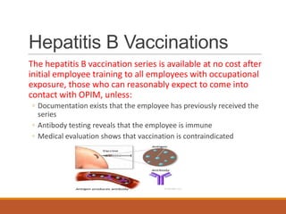 Hepatitis B Vaccinations
The hepatitis B vaccination series is available at no cost after
initial employee training to all employees with occupational
exposure, those who can reasonably expect to come into
contact with OPIM, unless:
◦ Documentation exists that the employee has previously received the
series
◦ Antibody testing reveals that the employee is immune
◦ Medical evaluation shows that vaccination is contraindicated
 