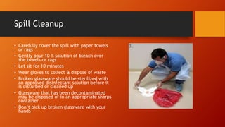 Spill Cleanup
• Carefully cover the spill with paper towels
or rags
• Gently pour 10 % solution of bleach over
the towels or rags
• Let sit for 10 minutes
• Wear gloves to collect & dispose of waste
• Broken glassware should be sterilized with
an approved disinfectant solution before it
is disturbed or cleaned up
• Glassware that has been decontaminated
may be disposed of in an appropriate sharps
container
• Don’t pick up broken glassware with your
hands
 