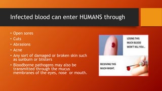 Infected blood can enter HUMANS through
• Open sores
• Cuts
• Abrasions
• Acne
• Any sort of damaged or broken skin such
as sunburn or blisters
• Bloodborne pathogens may also be
transmitted through the mucus
membranes of the eyes, nose or mouth.
 