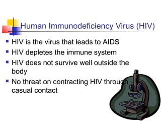 Human Immunodeficiency Virus (HIV)
   HIV is the virus that leads to AIDS
   HIV depletes the immune system
   HIV does not survive well outside the
    body
   No threat on contracting HIV through
    casual contact
 