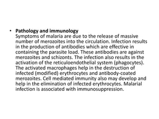 • Pathology and immunology
Symptoms of malaria are due to the release of massive
number of merozoites into the circulation. Infection results
in the production of antibodies which are effective in
containing the parasite load. These antibodies are against
merozoites and schizonts. The infection also results in the
activation of the reticuloendothelial system (phagocytes).
The activated macrophages help in the destruction of
infected (modified) erythrocytes and antibody-coated
merozoites. Cell mediated immunity also may develop and
help in the elimination of infected erythrocytes. Malarial
infection is associated with immunosuppression.
 