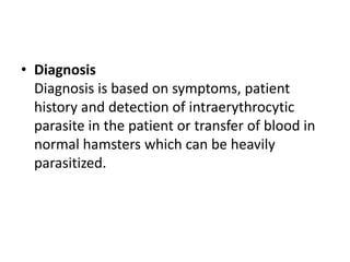 • Diagnosis
Diagnosis is based on symptoms, patient
history and detection of intraerythrocytic
parasite in the patient or transfer of blood in
normal hamsters which can be heavily
parasitized.
 