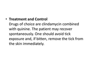 • Treatment and Control
Drugs of choice are clindamycin combined
with quinine. The patient may recover
spontaneously. One should avoid tick
exposure and, if bitten, remove the tick from
the skin immediately.
 