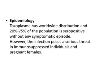• Epidemiology
Toxoplasma has worldwide distribution and
20%-75% of the population is seropositive
without any symptomatic episode.
However, the infection poses a serious threat
in immunosuppressed individuals and
pregnant females.
 