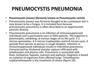 PNEUMOCYSTIS PNEUMONIA
• Pneumocystis jiroveci (formerly known as Pneumocystis carinii)
• Pneumocystis jiroveci was formerly thought to be a protozoan but is
now known to be a fungus. It is included here because
pneumocystis pneumonia is often described as an opportunistic
parasitic disease.
• Pneumocystis pneumonia is an infection of immunosuppressed
individuals and is particularly seen in AIDS patients. The organism is
pleomorphic, exhibiting, at various stages of its life cycle: 1-2
micron sporozoites, 4-5 micron trophozoites and 6-8 micron cysts. It
spreads from person to person in cough droplets. Infection in
immunosuppressed individuals results in interstitial pneumonia
characterized by thickened alveolar septum infiltrated with
lymphocytes and plasma cells. Pneumonia is associated with
fever, tachypnea, hypoxia, cyanosis and asphyxia. Diagnosis is based
on isolation of organisms from affected lungs. Trimethoprim-
sulphamethoxazole is the treatment of choice (figure 24).
 