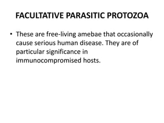 FACULTATIVE PARASITIC PROTOZOA
• These are free-living amebae that occasionally
cause serious human disease. They are of
particular significance in
immunocompromised hosts.
 