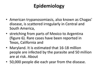 Epidemiology
• American trypanosomiasis, also known as Chagas'
disease, is scattered irregularly in Central and
South America,
• stretching from parts of Mexico to Argentina
(figure 6). Rare cases have been reported in
Texas, California and
• Maryland. It is estimated that 16-18 million
people are infected by the parasite and 50 million
are at risk. About
• 50,000 people die each year from the disease.
 