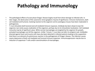 Pathology and Immunology
• The pathological effects of acute phase Chagas' disease largely result from direct damage to infected cells. In
• later stages, the destruction of the autonomic nerve ganglions may be of significance. Immune mechanisms, both
• cell mediated and humoral, involving reaction to the organism and to autologous tissues have been implicated in
• pathogenesis.
• T. cruzi stimulates both humoral and cell mediated immune responses. Antibody has been shown to lyze the
• organism, but rarely causes eradication of the organism, perhaps due to its intracellular localization. Cell mediated
• immunity may be of significant value. While normal macrophages are targeted by the organism for growth,
• activated macrophages can kill the organism. Unlike T. brucei, T. cruzi does not alter its antigenic coat. Antibodies
• directed against heart and muscle cells have also been detected in infected patients leading to the supposition
• that there is an element of autoimmune reaction in the pathogenesis of Chagas' disease. The infection causes
• severe depression of both cell mediated and humoral immune responses. Immunosuppression may be due to
• induction of suppressor T-cells and/or overstimulation of macrophages.
 