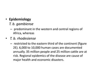 • Epidemiology
T. b. gambiense
– predominant in the western and central regions of
Africa, whereas
• T. b. rhodesiense
– restricted to the eastern third of the continent (figure
2E). 6,000 to 10,000 human cases are documented
annually. 35 million people and 25 million cattle are at
risk. Regional epidemics of the disease are cause of
major health and economic disasters.
 