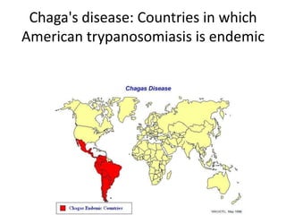 Chaga's disease: Countries in which
American trypanosomiasis is endemic
 