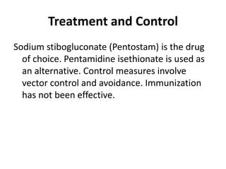 Treatment and Control
Sodium stibogluconate (Pentostam) is the drug
of choice. Pentamidine isethionate is used as
an alternative. Control measures involve
vector control and avoidance. Immunization
has not been effective.
 