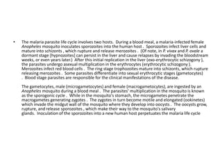 • The malaria parasite life cycle involves two hosts. During a blood meal, a malaria-infected female
Anopheles mosquito inoculates sporozoites into the human host . Sporozoites infect liver cells and
mature into schizonts , which rupture and release merozoites . (Of note, in P. vivax and P. ovale a
dormant stage [hypnozoites] can persist in the liver and cause relapses by invading the bloodstream
weeks, or even years later.) After this initial replication in the liver (exo-erythrocytic schizogony ),
the parasites undergo asexual multiplication in the erythrocytes (erythrocytic schizogony ).
Merozoites infect red blood cells . The ring stage trophozoites mature into schizonts, which rupture
releasing merozoites . Some parasites differentiate into sexual erythrocytic stages (gametocytes)
. Blood stage parasites are responsible for the clinical manifestations of the disease.
The gametocytes, male (microgametocytes) and female (macrogametocytes), are ingested by an
Anopheles mosquito during a blood meal . The parasites’ multiplication in the mosquito is known
as the sporogonic cycle . While in the mosquito's stomach, the microgametes penetrate the
macrogametes generating zygotes . The zygotes in turn become motile and elongated (ookinetes)
which invade the midgut wall of the mosquito where they develop into oocysts . The oocysts grow,
rupture, and release sporozoites , which make their way to the mosquito's salivary
glands. Inoculation of the sporozoites into a new human host perpetuates the malaria life cycle
 