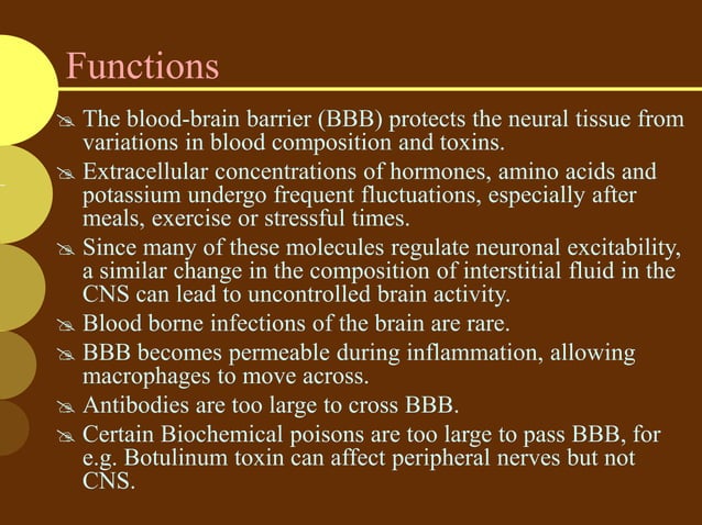Blood brain barrier | PPTX
