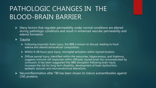 Blood brain barrier | PPTX