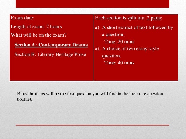 blood brothers essay