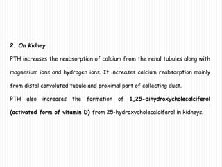 2. On Kidney
PTH increases the reabsorption of calcium from the renal tubules along with
magnesium ions and hydrogen ions. It increases calcium reabsorption mainly
from distal convoluted tubule and proximal part of collecting duct.
PTH also increases the formation of 1,25-dihydroxycholecalciferol
(activated form of vitamin D) from 25-hydroxycholecalciferol in kidneys.
 