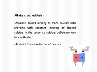 Alkalosis and acidosis:
•Alkalosis favors binding of more calcium with
proteins with constant lowering of ionised
calcium in the serum so calcium deficiency may
be manifested
•Acidosis favors ionisation of calcium.
 