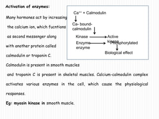 Activation of enzymes:
Many hormones act by increasing
the calcium ion, which fucntions
as second messenger along
with another protein called
calmodulin or troponin C.
Calmodulin is present in smooth muscles
and troponin C is present in skeletal muscles. Calcium-calmodulin complex
activates various enzymes in the cell, which cause the physiological
responses.
Eg: myosin kinase in smooth muscle.
c
Ca++ + Calmodulin
Ca- bound-
calmodulin
Kinase Active
kinaseEnzyme Phosphorylated
enzyme
Biological effect
 