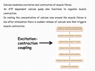 Calcium mediates excitation and contraction of muscle fibres.
An ATP dependent calcium pump also functions to regulate muscle
contraction.
In resting the concentration of calcium ions around the muscle fibres is
low after stimulation there is sudden release of calcium ions that triggers
muscle contraction.
Excitation-
contraction
coupling
 