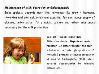 Maintenance of Milk Secretion or Galactopoiesis
Galactopoiesis depends upon the hormones like growth hormone,
thyroxine and cortisol, which are essential for continuous supply of
glucose, amino acids, fatty acids, calcium and other substances
necessary for the milk production
BITTER TASTE RECEPTOR
Bitter receptor is a G-protein coupled
receptor . In bitter receptor, the sour
substances activate phospholipase C
through G proteins. It causes production
of inositol triphosphate (IP3), which
initiates depolarization by releasing
calcium ions.
 