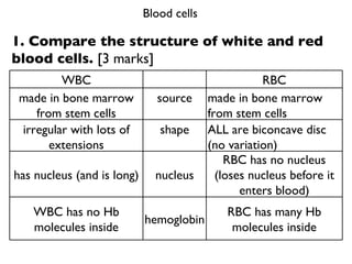 [object Object],1. Compare the structure of white and red blood cells.  [3 marks] WBC RBC made in bone marrow from stem cells source made in bone marrow from stem cells irregular with lots of extensions shape ALL are biconcave disc (no variation) has nucleus (and is long) nucleus RBC has no nucleus (loses nucleus before it enters blood) WBC has no Hb molecules inside hemoglobin RBC has many Hb molecules inside 