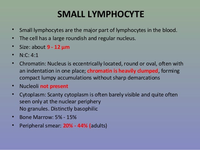 blood cell counting size of lymphocytes