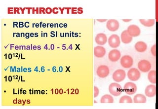 Blood cell physiology amany e_lshamy | PDF