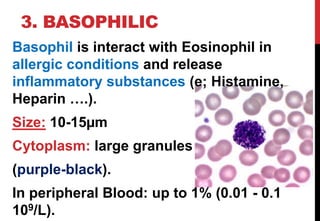 Blood cell physiology amany e_lshamy | PDF