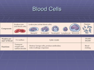 Blood Cells 