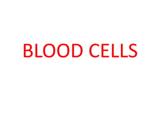 BLOOD CELLS
 