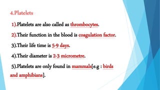 4.Platelets
1).Platelets are also called as thrombocytes.
2).Their function in the blood is coagulation factor.
3).Their life time is 5-9 days.
4).Their diameter is 2-3 micrometre.
5).Platelets are only found in mammals[e.g : birds
and amphibians].
 
