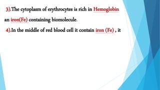 .
3).The cytoplasm of erythrocytes is rich in Hemoglobin
an iron(Fe) containing biomolecule.
4).In the middle of red blood cell it contain iron (Fe) , it
 