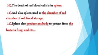 .
10).The death of red blood cells is in spleen.
11).And also spleen used as the chamber of red
chamber of red blood storage,
12).Spleen also produce antibody to protect from the
bacteria fungi and etc…
 