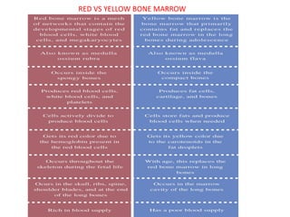 Comprehensive Overview of Blood Cells and Hematopoiesis Processes | PPTX