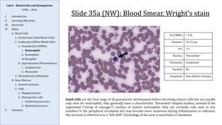Blood_Cells_Haematopoiesis.pdf