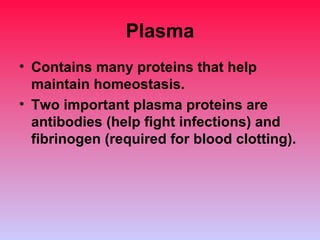 Plasma Contains many proteins that help maintain homeostasis. Two important plasma proteins are antibodies (help fight infections) and fibrinogen (required for blood clotting). 