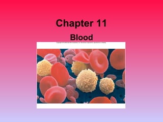 Chapter 11 Blood 
