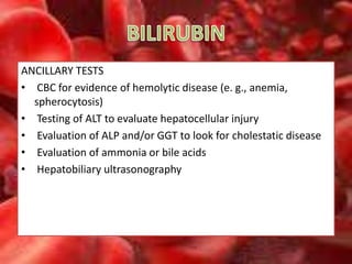 What Is Alt In Dog Blood Test